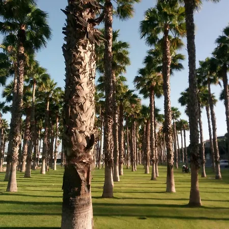 Garland Agaete Parque Playa del Inglés