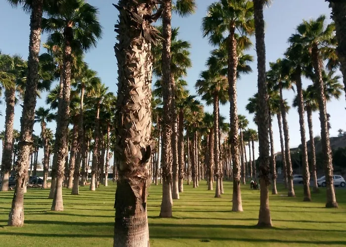 Garland Agaete Parque Playa del Inglés
